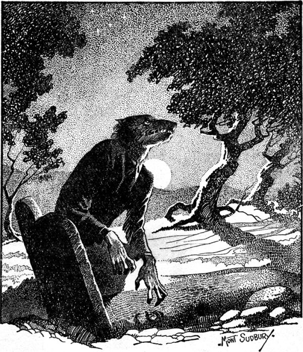 Werewolves - Association of Independent Readers and Rootworkers